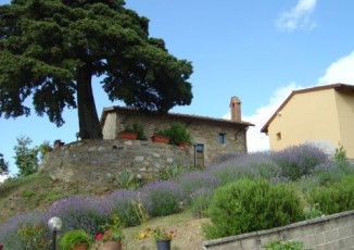 Toscana Romantisch Apt Salvia Met Zwembad Near Flo